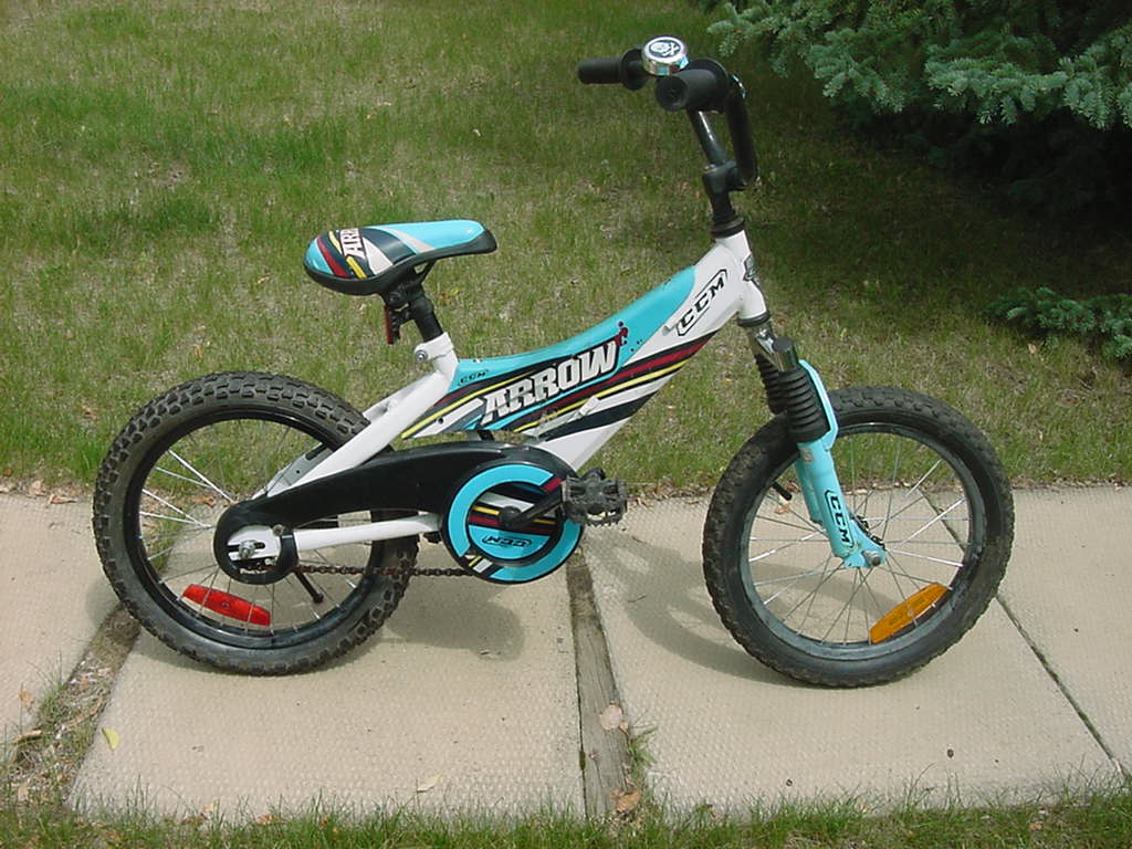 ccm 24 inch bike